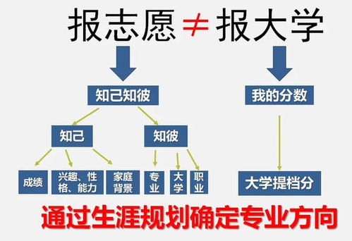 2024年報考志愿指南 計算機專業就業方向，鴻蒙開發與人工智能如何選擇？